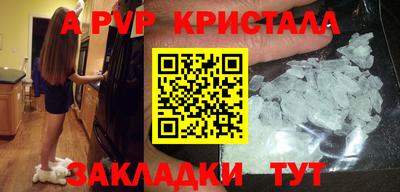 spice Кингисепп