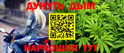 spice Кингисепп