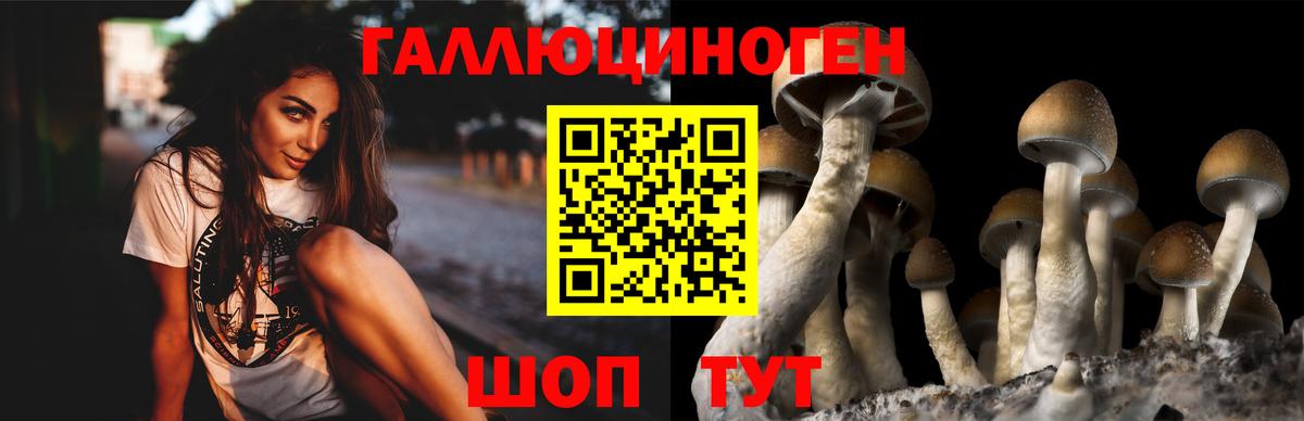 Галлюциногенные грибы Psilocybine cubensis  наркотики  Вход с VPN  Дятьково  Псилоцибиновые грибы Psilocybe 